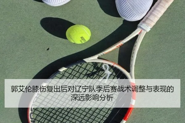 郭艾伦膝伤复出后对辽宁队季后赛战术调整与表现的深远影响分析（WENDING ENTERTAINMENT）